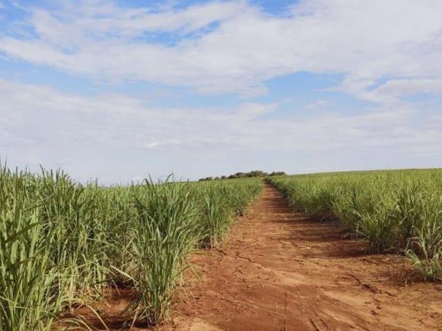 EXCELENTE FAZENDA A VENDA EM ITAÍ SP ? Área Total 125 Alqueires 80 Alqueires em Cana Usi