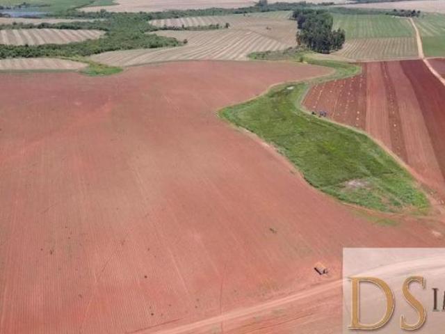 EXCELENTE FAZENDA A VENDA EM ITAÍ/SP, COM ÁREA TOTAL DE 57 ALQUEIRES, TERRA VERMELHA, TOPOGRAFIA PLA