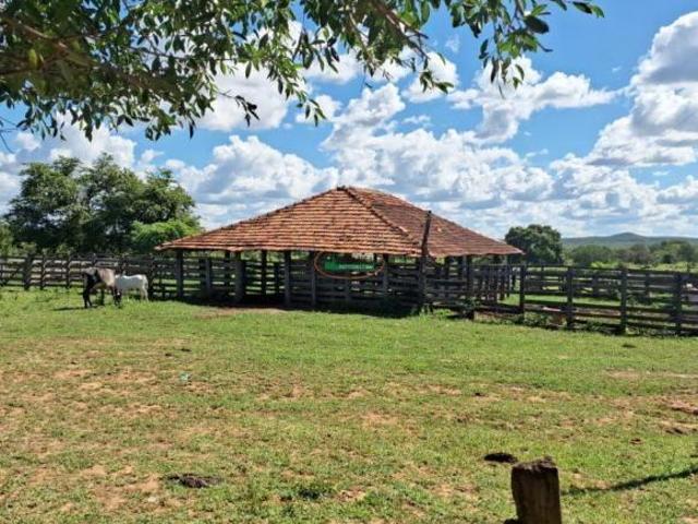 Excelente fazenda à venda Riachinho, Bonfinópolis MG!