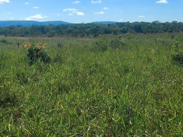 Excelente fazenda a 2 kms da cidade