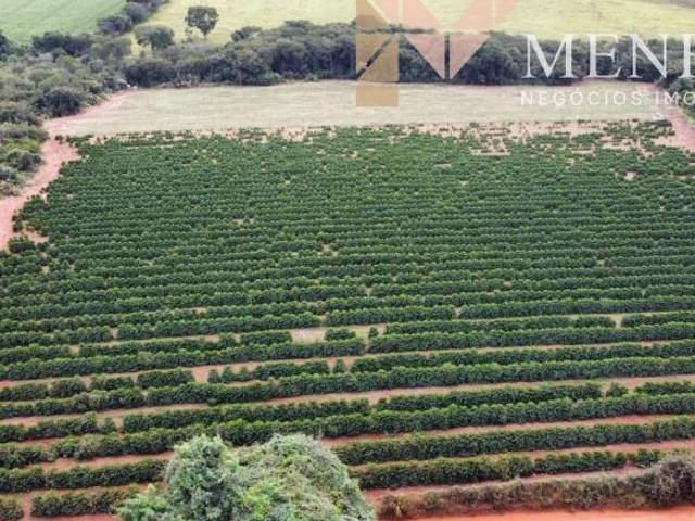 Excelente fazenda cafeeira à venda na região de Ibiraci