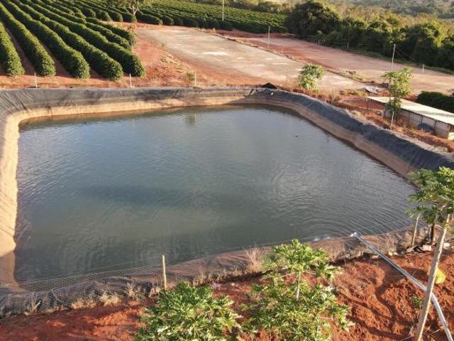 EXCELENTE FAZENDA CAFEEIRA EM MONTE ALEGRE DE MINAS