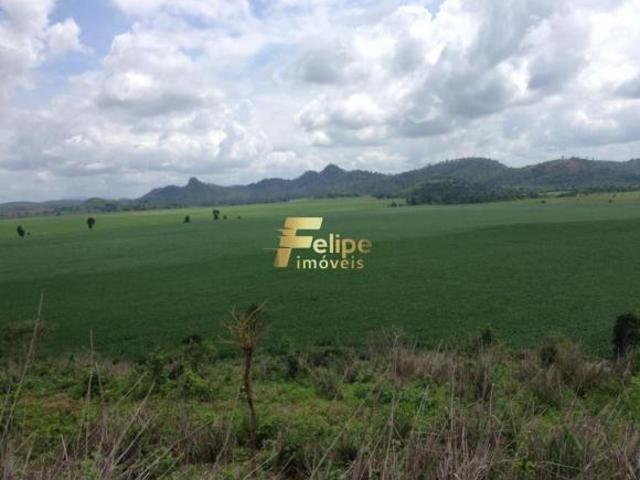 EXCELENTE FAZENDA COM 4.600 HECTARES, À VENDA EM NANUQUE/MG