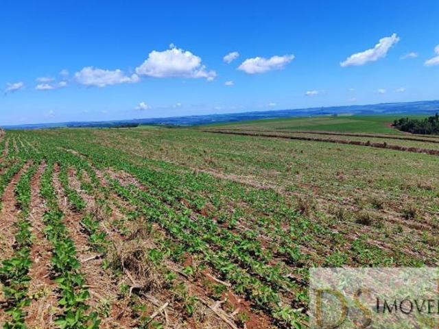EXCELENTE FAZENDA COM 90 ALQUEIRES A VENDA EM PIRAJU SP, TOPOGRAFIA PLANA A SEMIPLANA, TERRA ROXA E