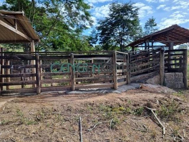 Excelente Fazenda de 450 ha na Região de Pará de Minas