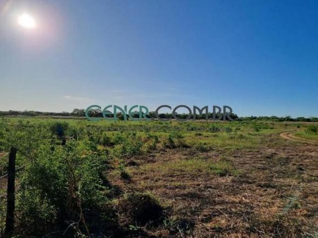 Excelente Fazenda de 4.557,74 ha com 6 Km de Margem do Rio São Francisco Dupla aptidão