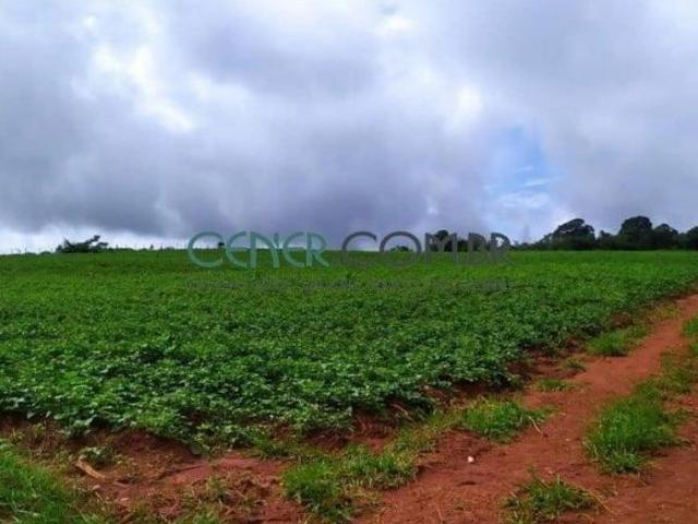 Excelente Fazenda de 70 ha a 83 Km de BH, Ótima para agricultura e pecuária