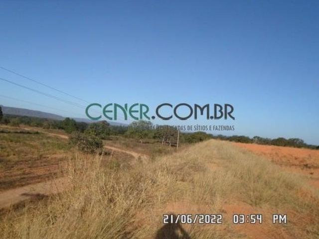 Excelente fazenda de 732 ha com 3 pivô nas margens do São Francisco