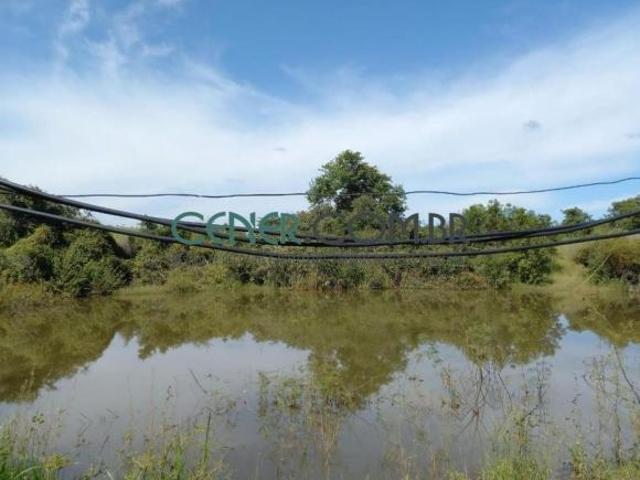 Excelente Fazenda de 750 ha para agricultura e com Pivô Oportunidade