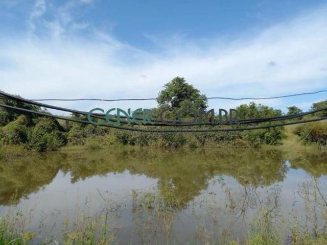 Excelente Fazenda de 750 ha para agricultura e com Pivô Oportunidade