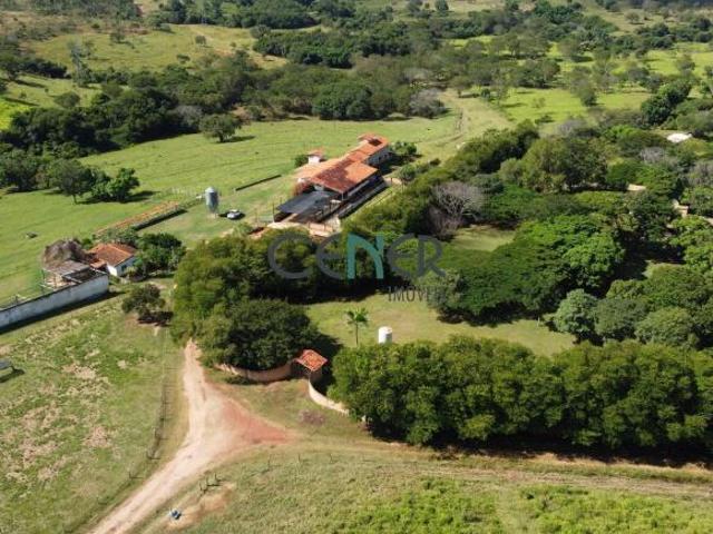 Excelente fazenda de 165 ha pronta para leite em Curvelo MG