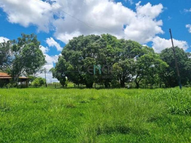 EXCELENTE FAZENDA DE 167 HA EM JOÃO PINHEIRO MG