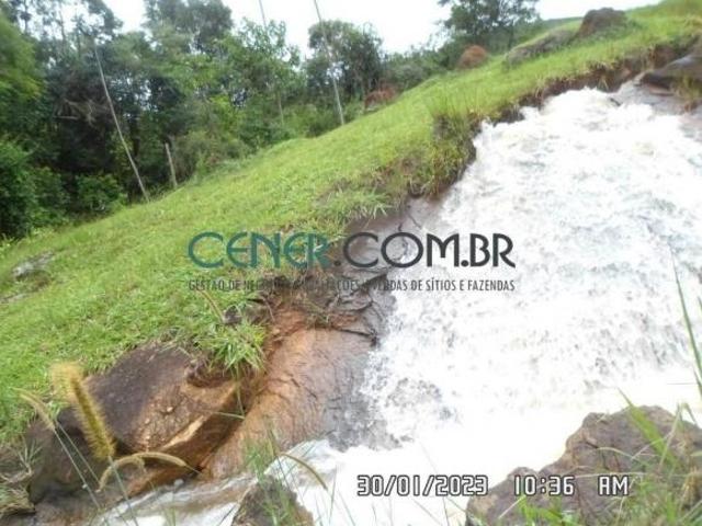 Excelente Fazenda de 187,67 ha em Plena Produção de Café no Sul de Minas