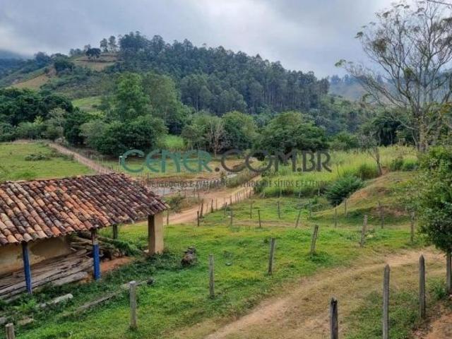 Excelente Fazenda de 200 ha na Região de Ubá MG