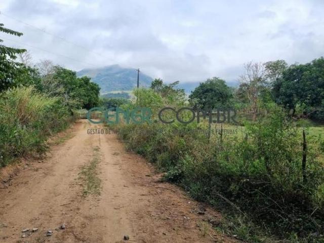 Excelente Fazenda de 200 ha na Região de Ubá MG