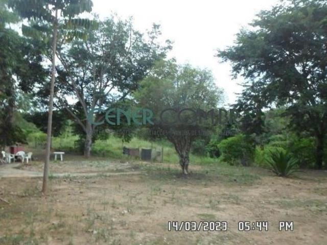 Excelente Fazenda de 242 ha em Pompeu com eucalipto e preparada para Lavouras