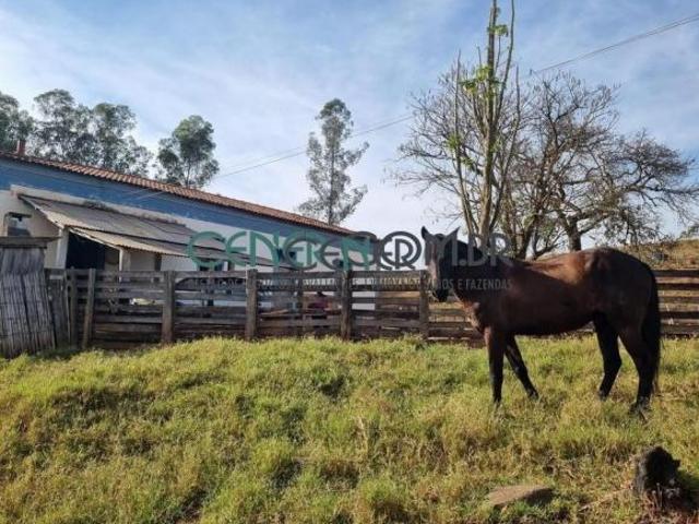 Excelente Fazenda de 245 ha em Área de expansão Urbana a 110 Km de BH