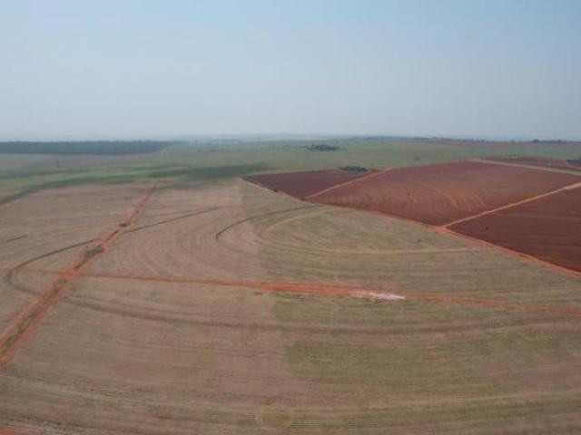 EXCELENTE FAZENDA EM CANA A VENDA NA REGIÃO DE PRESIDENTE PRUDENTE SP ? Área Total: 393 Alqueir