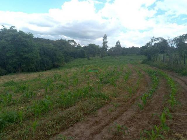Excelente fazenda em Claudio MG!