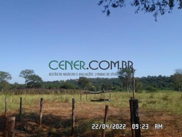 Excelente Fazenda Haras de 70 ha na Reg de Sete Lagoas Oportunidade