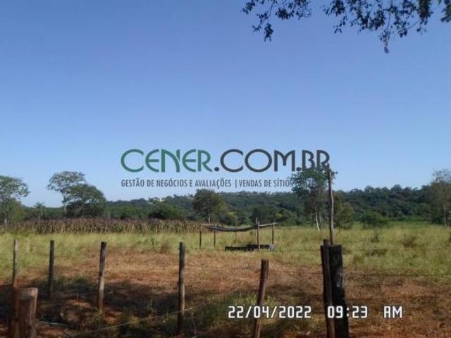 Excelente Fazenda Haras de 70 ha na Reg de Sete Lagoas Oportunidade