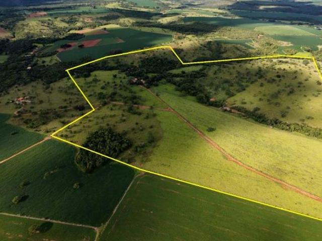 EXCELENTE FAZENDA MUNICÍPIO DE OUVIDOR GOIAS
