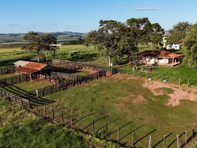 EXCELENTE FAZENDA NA REGIÃO DE TAQUARITUBA SP* ? Área Total: 175,19 Hectares ou 72,39 Alqueire