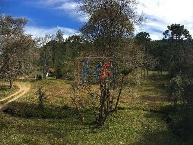 Excelente Fazenda no bairro Centro, 16 alqueires, 387.675 m² terreno, 3 casas construídas e com fl