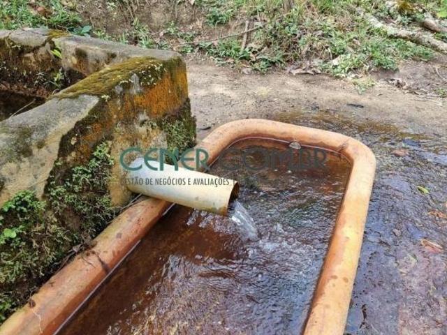 Excelente Fazendinha de 40 ha na Região de Tiradentes