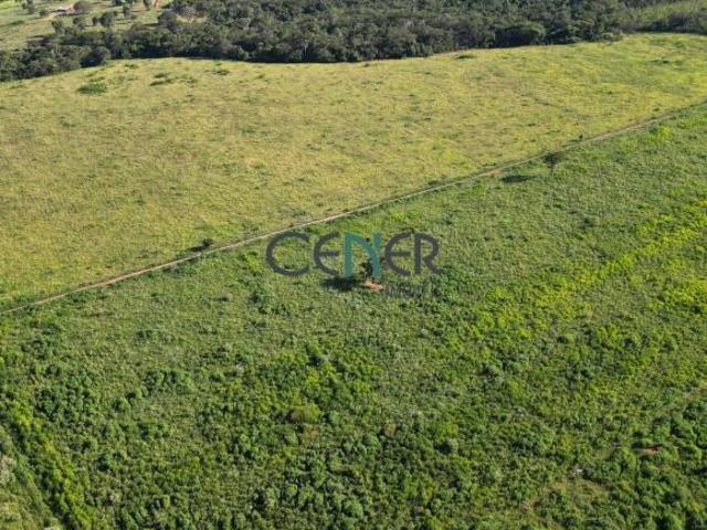 Excelente fazendinha de 100 ha na reg de Pitangui MG