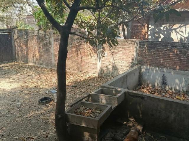 Oportunidad de invertir Terreno, doble frente y ?rboles frutales en Cuautla, Mor?Clave 6153