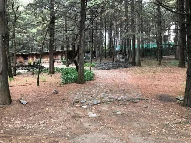 EXCELENTE OPORTUNIDAD, TERRENO EN HACIENDA SAN MARTIN