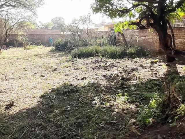 Excelente oportunidad Venta terreno, corazon del pueblo mágico de Sayula Jal