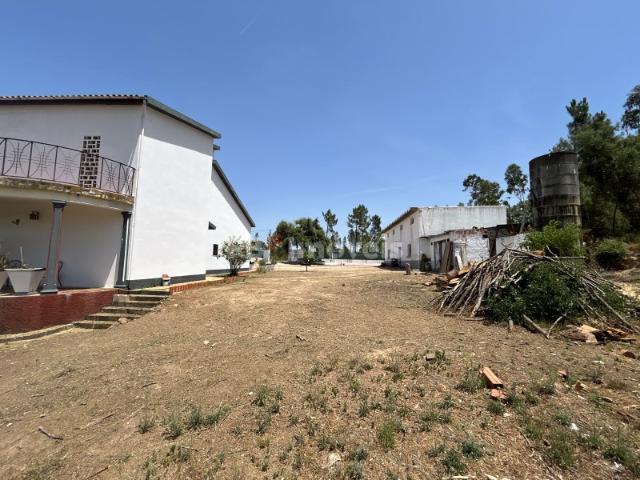 Excelente Oportunidade às Portas de Tomar: Moradia com Enorme Potencial