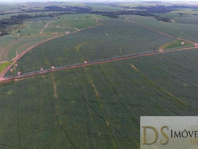 EXCELENTE OPORTUNIDADE: FAZENDA DE 408 ALQUEIRES À VENDA EM PENÁPOLIS/SP!