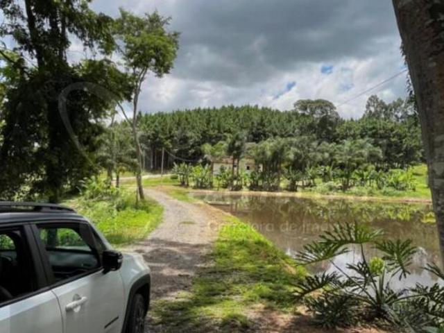 Excelente oportunidade: Fazenda de 68 alqueires em Capão Bonito P/ Guapiara SP, com floresta de pinu