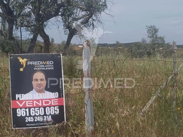 Excelente oportunidade para quem procura um refúgio no campo ou um investimento em agricultura tradicional alentejana