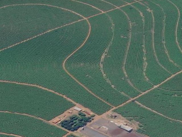 EXCELENTE OPORTUNIDADE PARA VENDA EM PATOS DE MINAS 199 HEC BEIRA RIO
