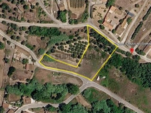 Excelente Oportunidade | Terreno Rústico com 3.120 m² em Vila Nova do Coito, Almoster