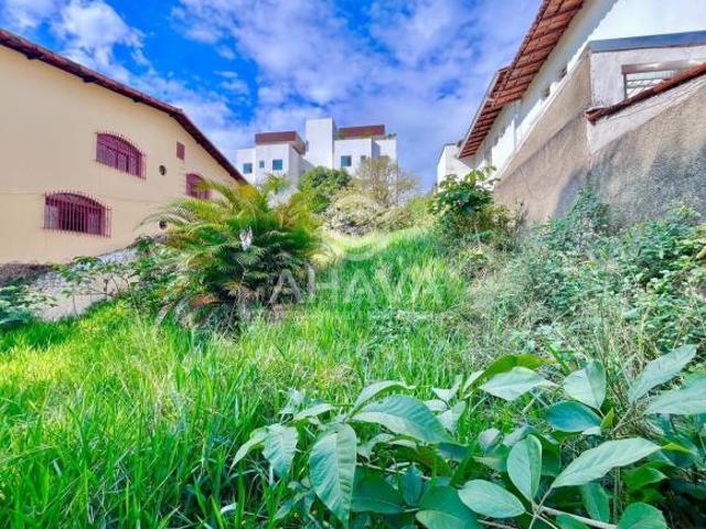 Excelente Lote à Venda no Bairro Santa Branca 360M²