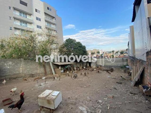 EXCELENTE LOTE À VENDA – ÓTIMA LOCALIZAÇÃO E IDEAL PARA CONSTRUIR!
