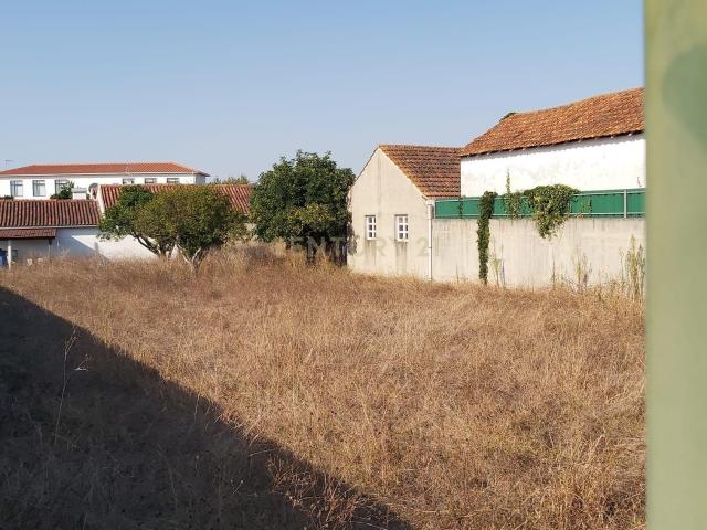 Excelente lote de Terreno || Calvaria