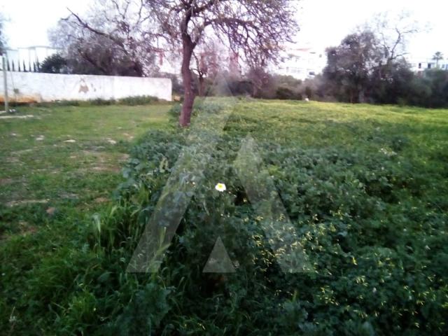 Excelente lote de terreno rústico situado em Almancil com área de 1800m2