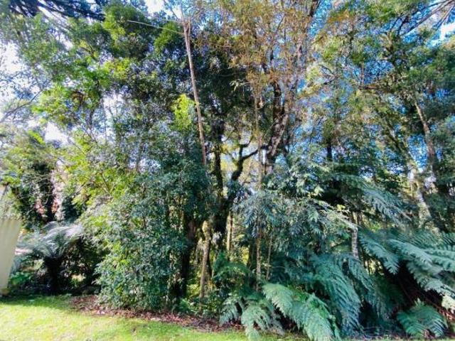 EXCELENTE LOTE DE ESQUINA NO RESERVA DA SERRA
