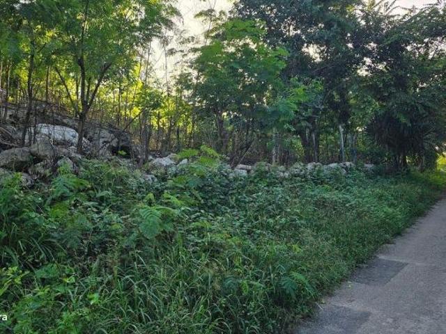 Excelente Lote, Ebtun, Valladolid, Yucatan