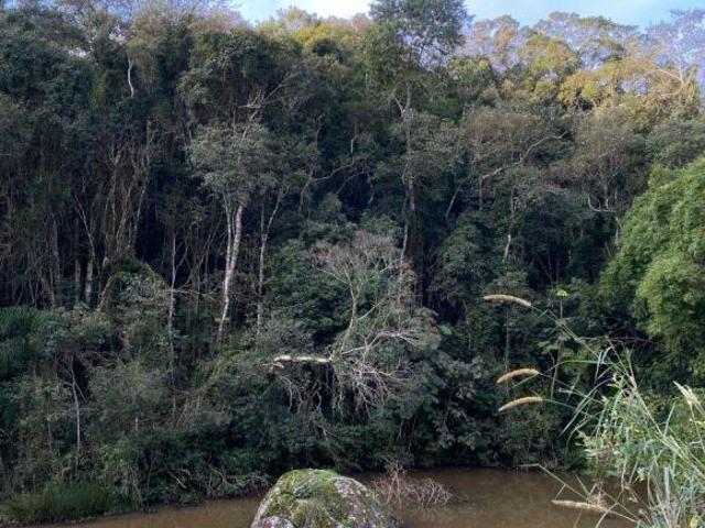 Excelente lote em Ibiuna