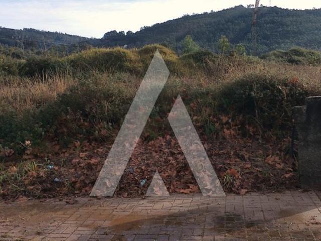 Excelente lote para construção