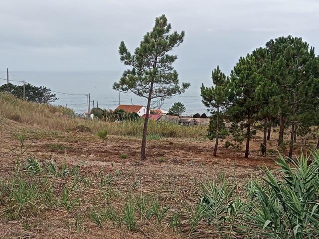 Excelente moradia T3 com vista mar