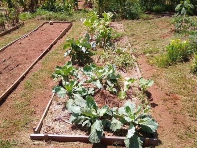 Excelente Sítio à Venda em Arroio dos Ratos! Espaço, Conforto e Qualidade de Vida!