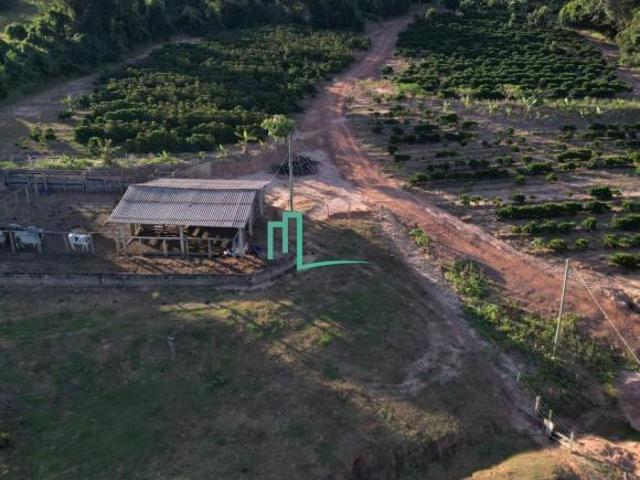 EXCELENTE SITIO Á VENDA EM CRISTAIS PAULISTA 9.8 ALQUEIRES ESTRUTURA COMPLETA PLANTAÇÃO DE CAF